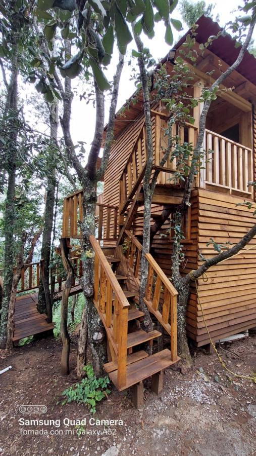Cabaña en el Bosque de San José del Pacífico Exterior foto