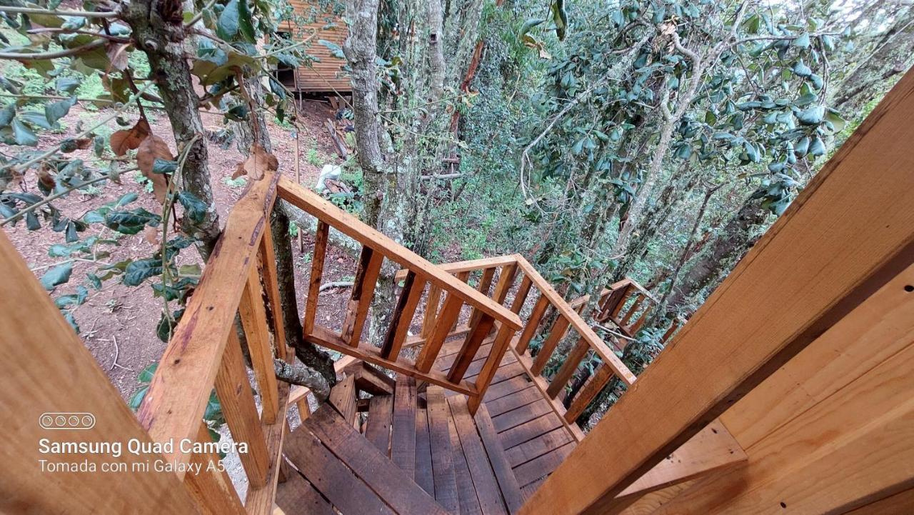 Cabaña en el Bosque de San José del Pacífico Exterior foto