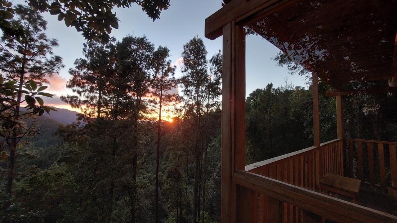 Cabaña en el Bosque de San José del Pacífico Exterior foto
