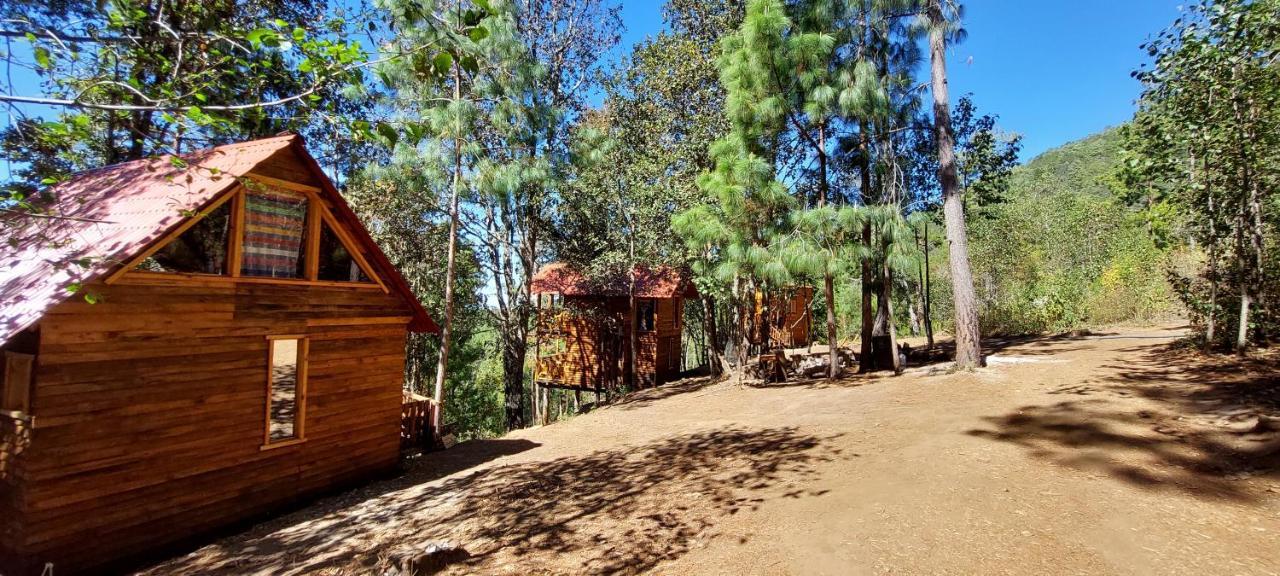 Cabaña en el Bosque de San José del Pacífico Exterior foto