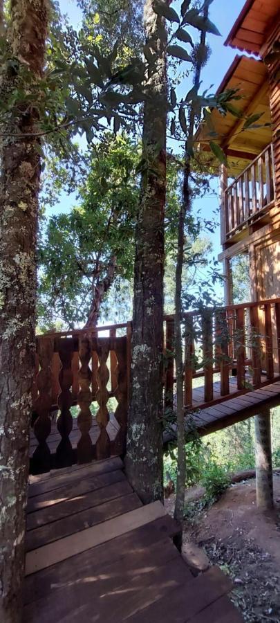 Cabaña en el Bosque de San José del Pacífico Exterior foto