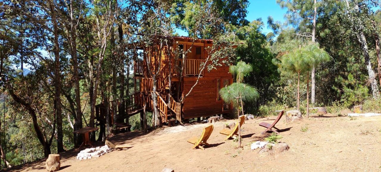 Cabaña en el Bosque de San José del Pacífico Exterior foto