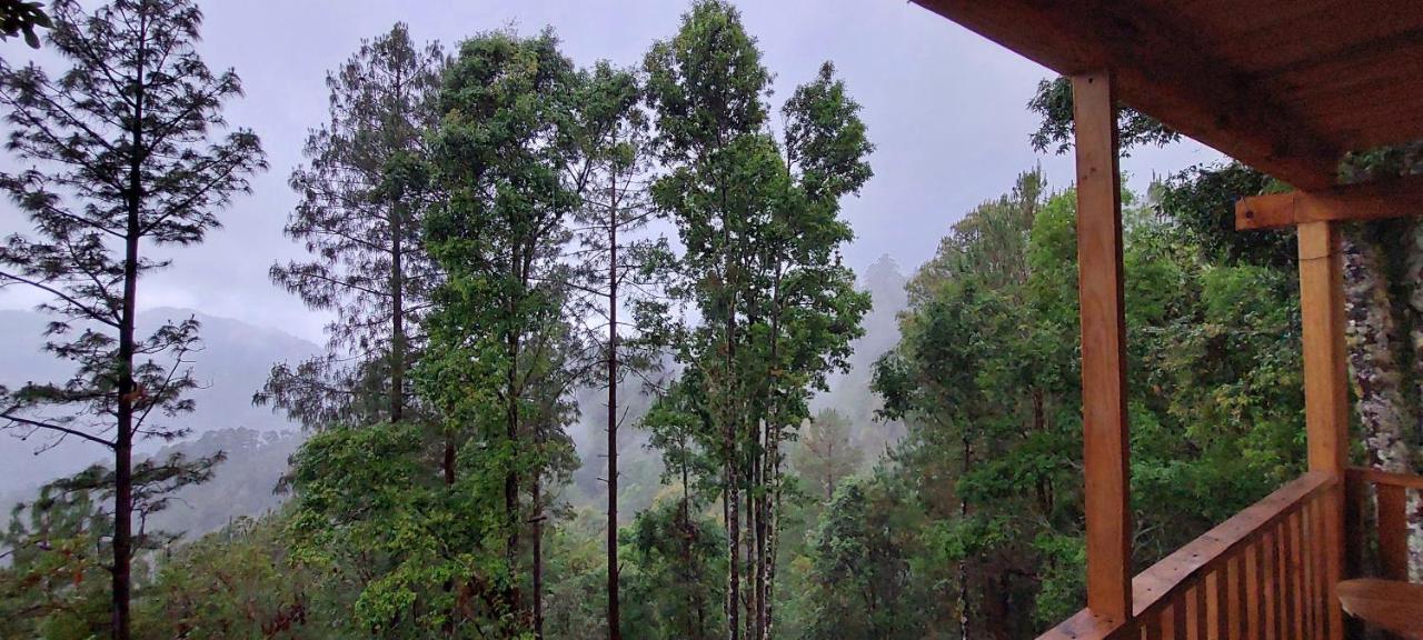 Cabaña en el Bosque de San José del Pacífico Exterior foto
