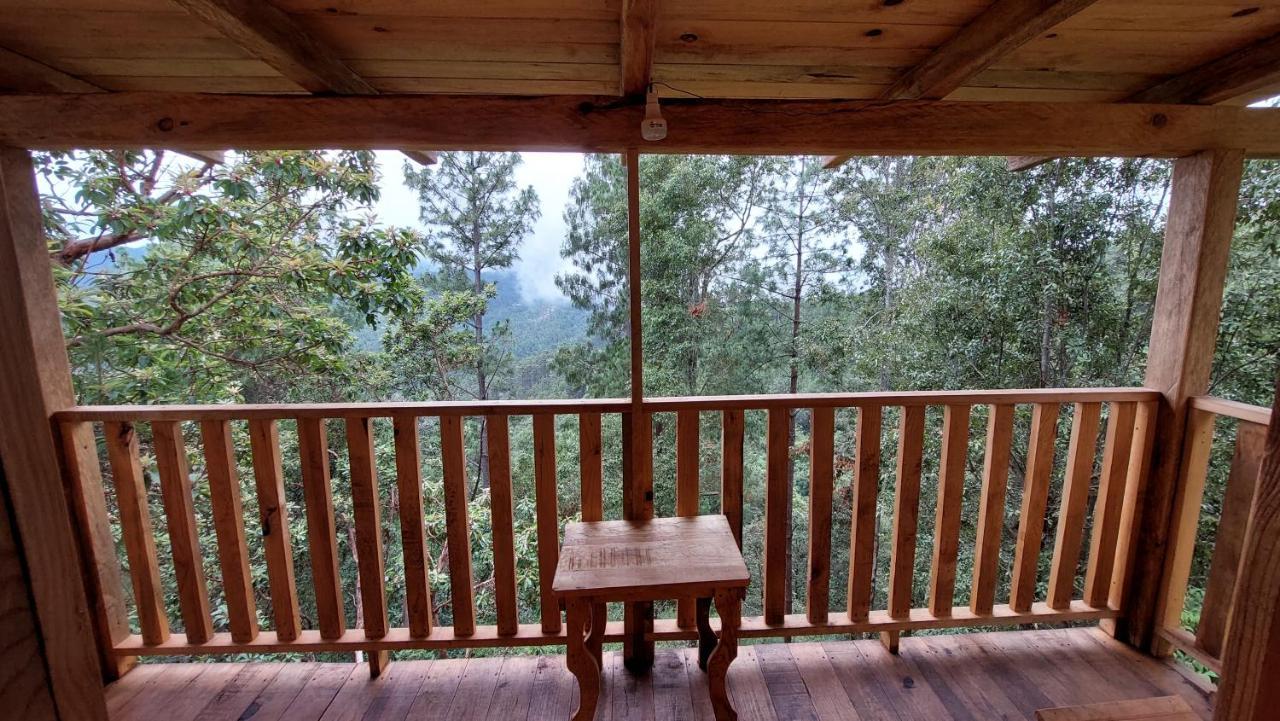 Cabaña en el Bosque de San José del Pacífico Exterior foto
