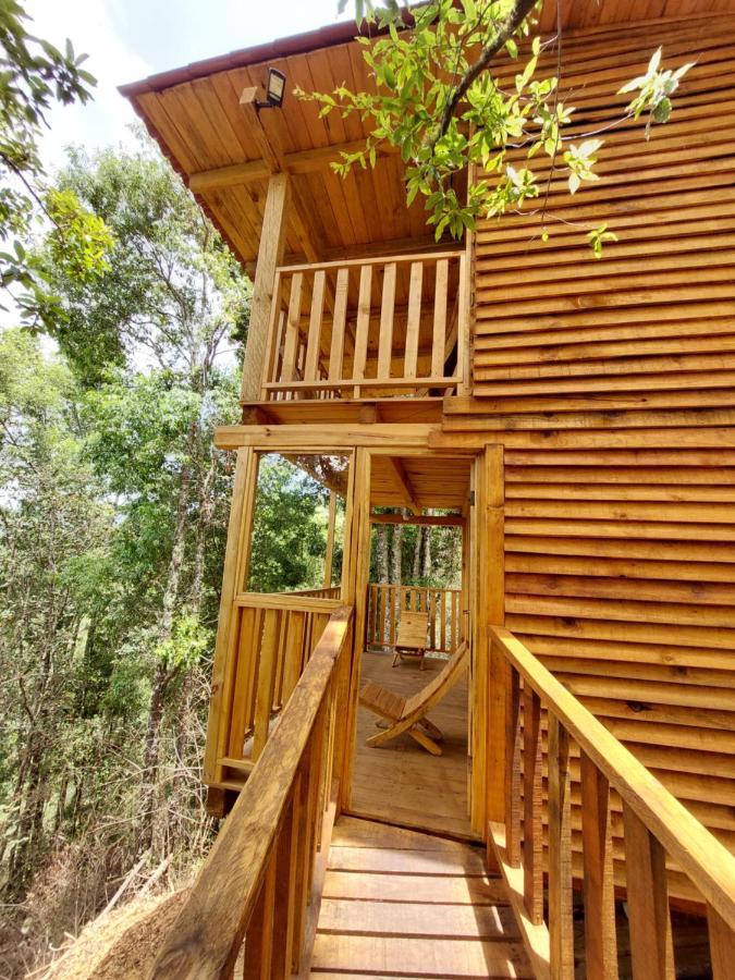 Cabaña en el Bosque de San José del Pacífico Exterior foto